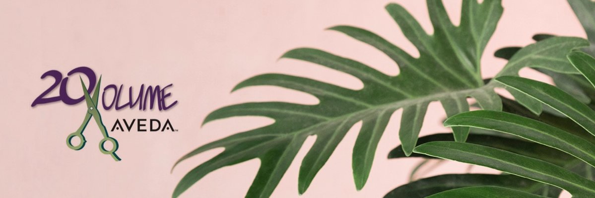 20VolumeSalon's profile banner image