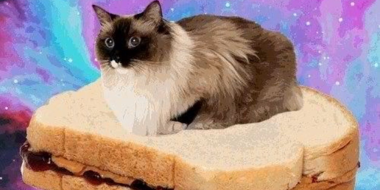 MReber26's profile banner image