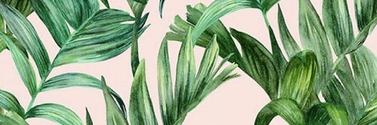 WestonHThomas's profile banner image
