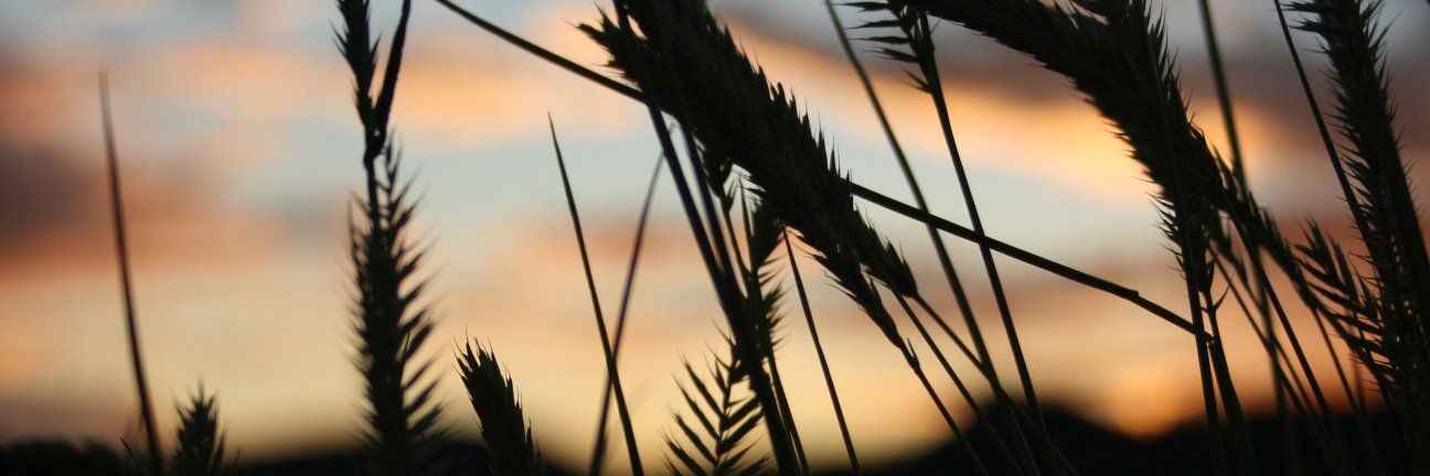 kaileycarr1's profile banner image