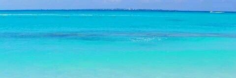 carlosesca3's profile banner image