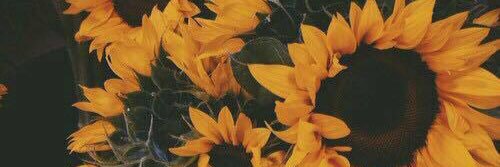 KaytiLouise's profile banner image