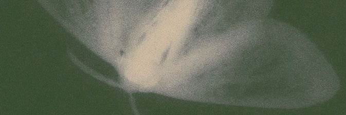 cathxgrace's profile banner image