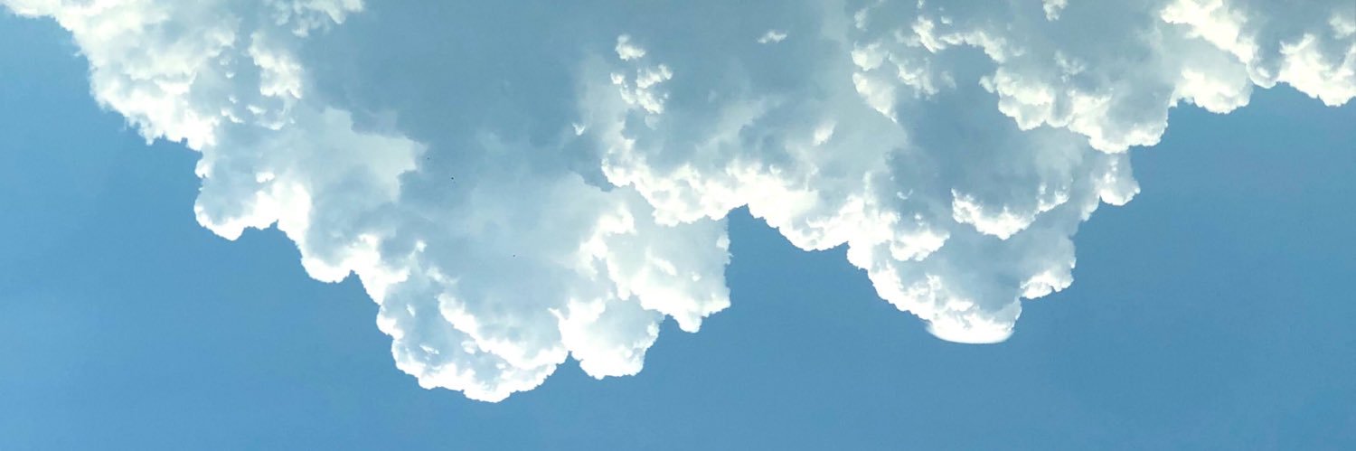 paulareynoza's profile banner image