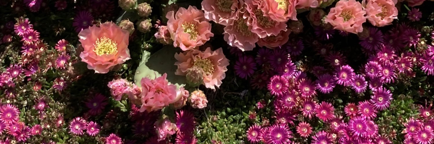 RachelLee_K's profile banner image