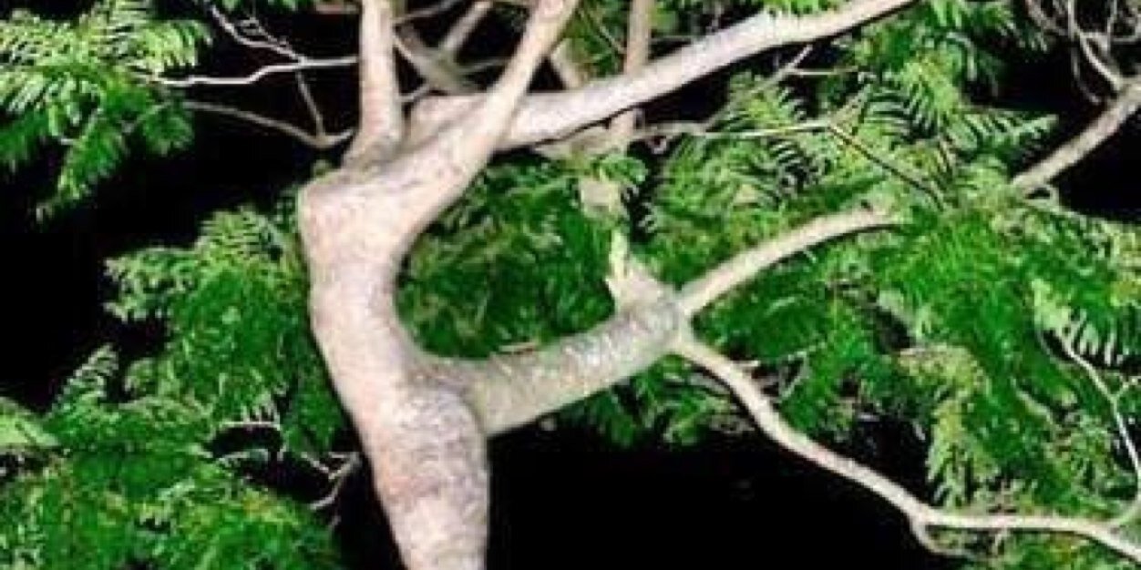 Teffy1976's profile banner image