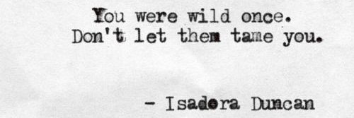 Tiger in a Box banner