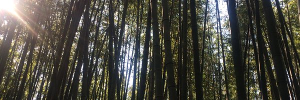 leobstanley Profile Banner