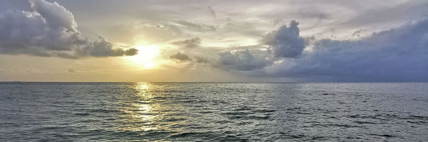 ecohormiga's profile banner image