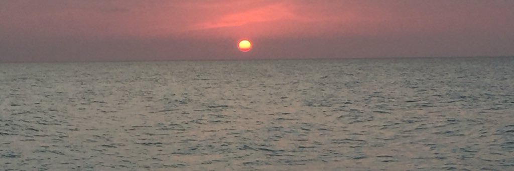 Kate_Fedechko22's profile banner image