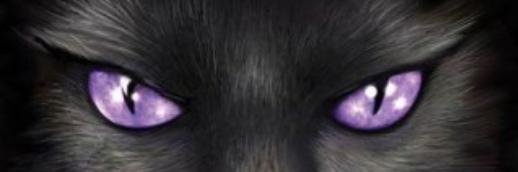 rach_afandi's profile banner image