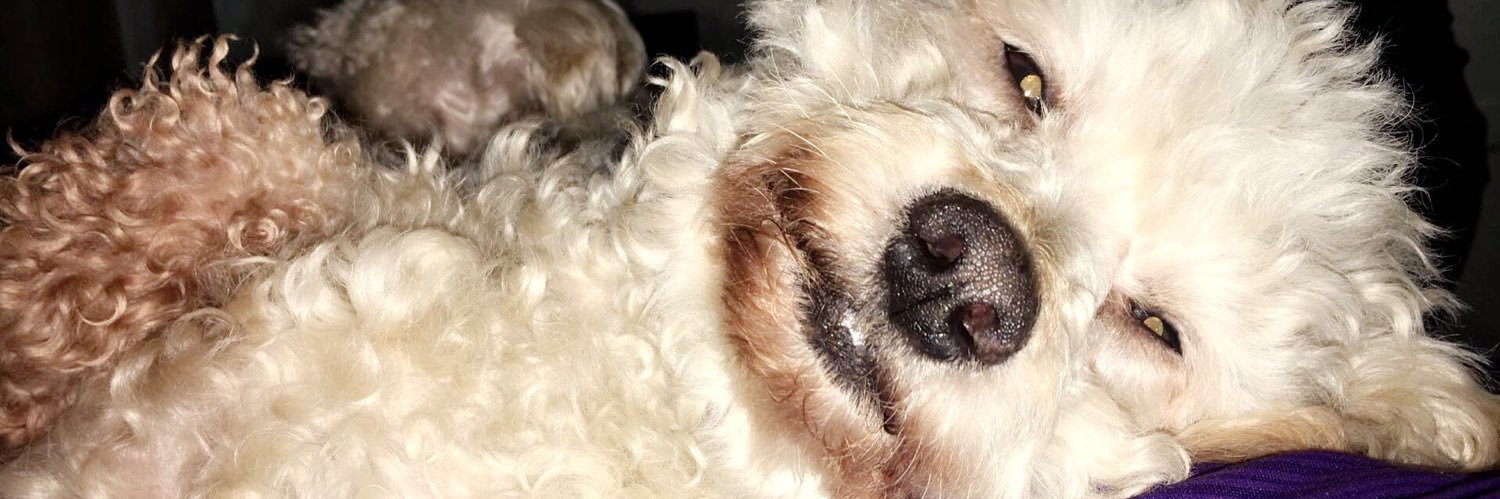 Scottieee_'s profile banner image