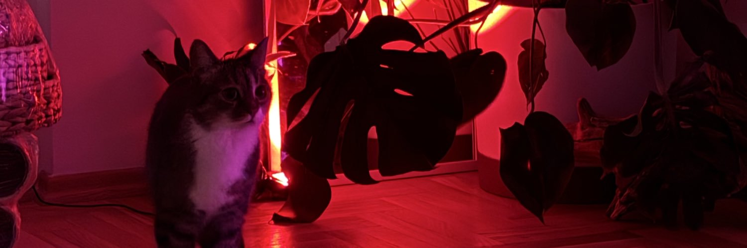 PompushaJul's profile banner image
