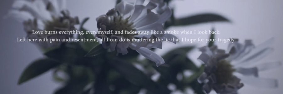 contychi's profile banner image