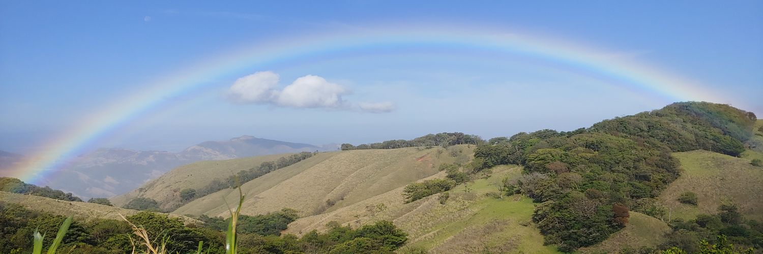 muzic53's profile banner image