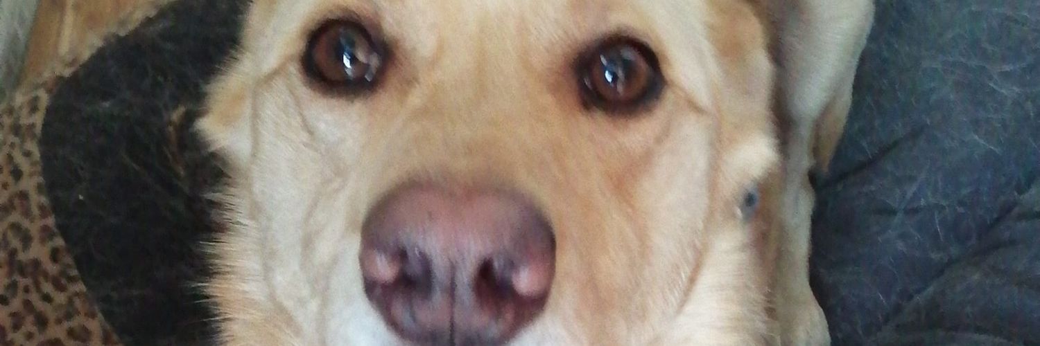 arielcartersix's profile banner image
