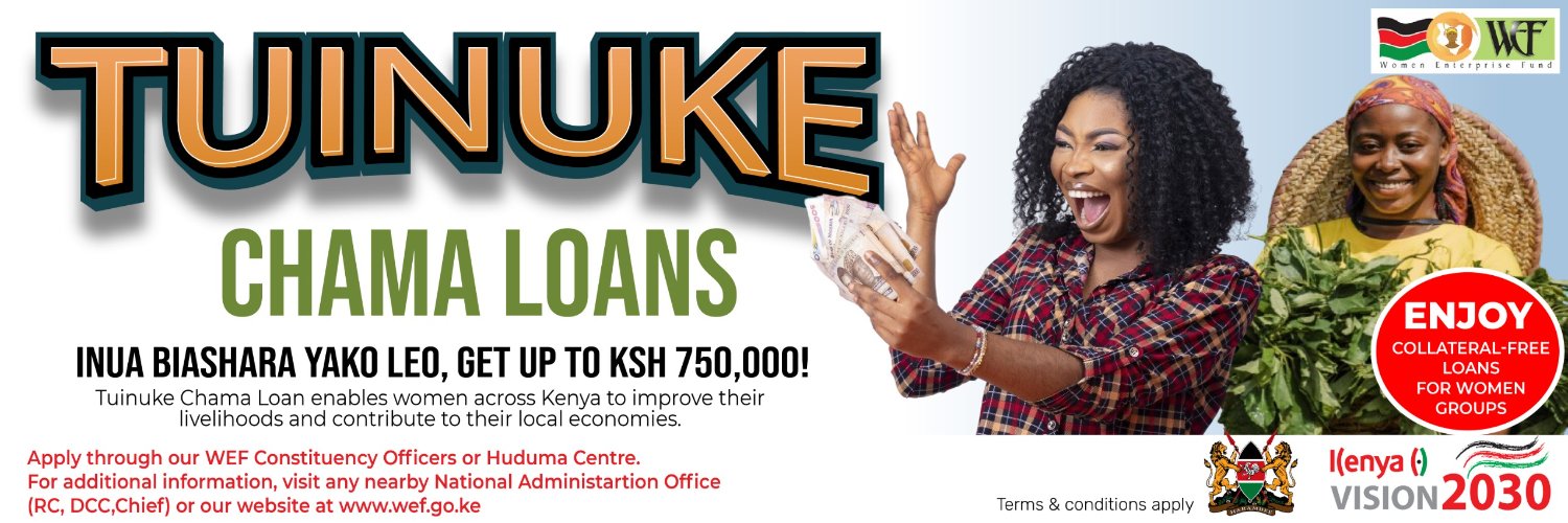 WomenEnterpriseFund banner