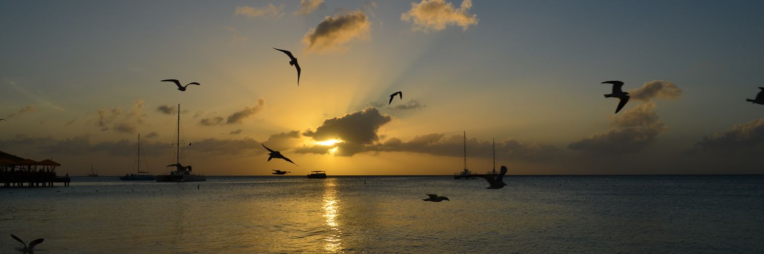 marlenpbbesch's profile banner image
