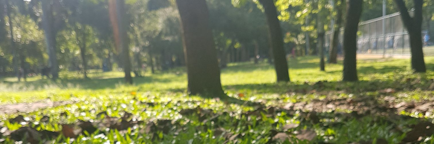 MariliaNeves's profile banner image