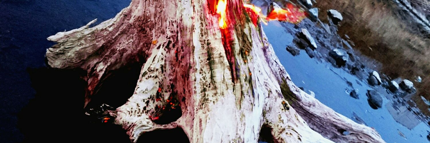 kentosugis's profile banner image