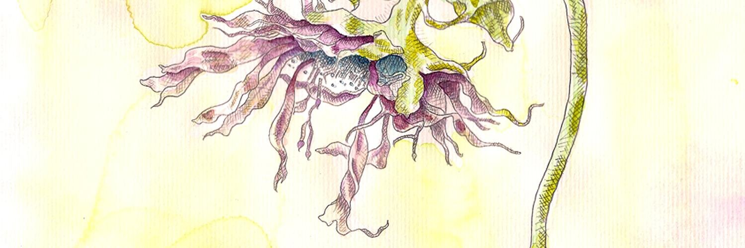 hyedie's profile banner image