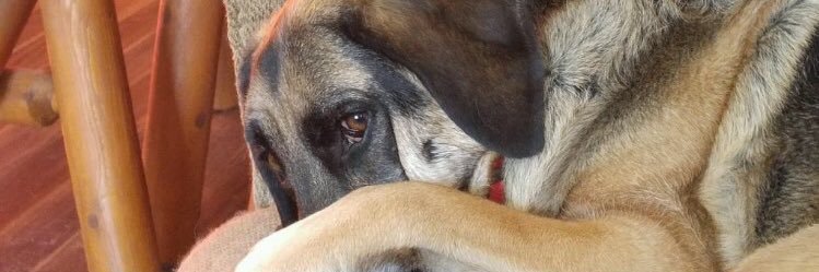RileyStein's profile banner image