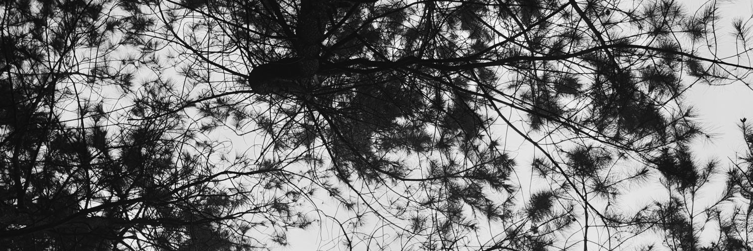 radityafarandi's profile banner image