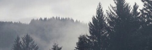EJCullen1's profile banner image