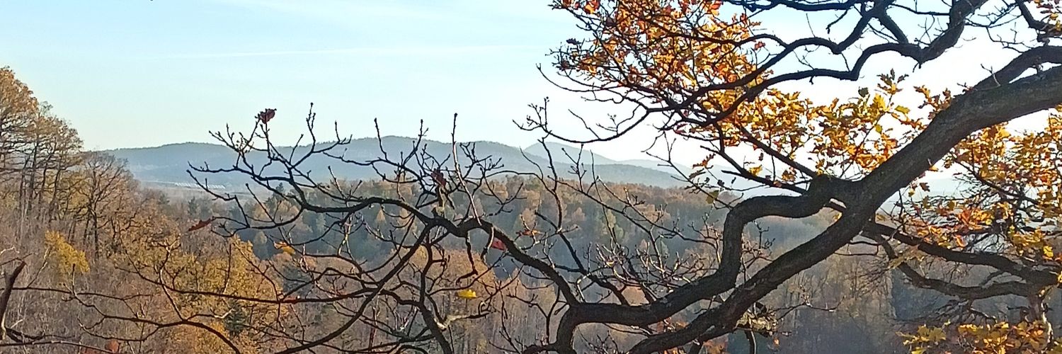 Marat 🇵🇱 banner