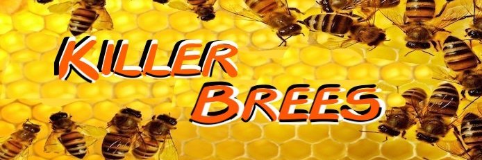 KillerBrees09's profile banner image