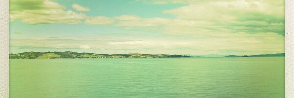 MsFionaFraser Profile Banner