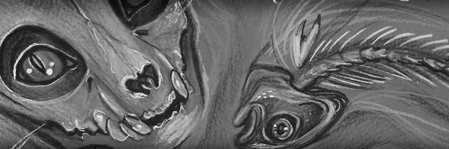 clhamlyn's profile banner image