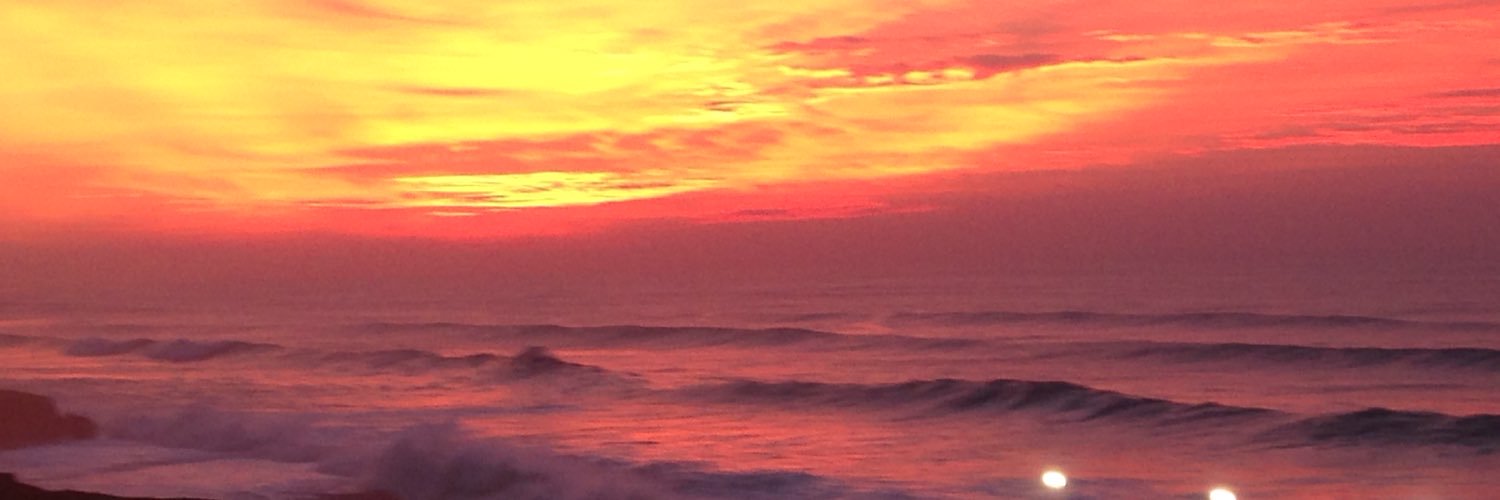 Andrea Visioni banner