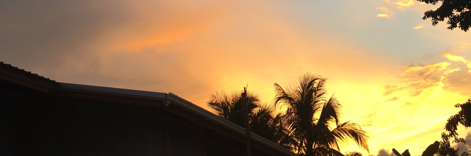 Alphazls's profile banner image