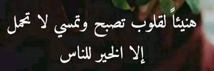 yahya_sh11's profile banner image