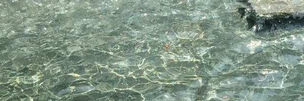 saron__berhane Profile Banner