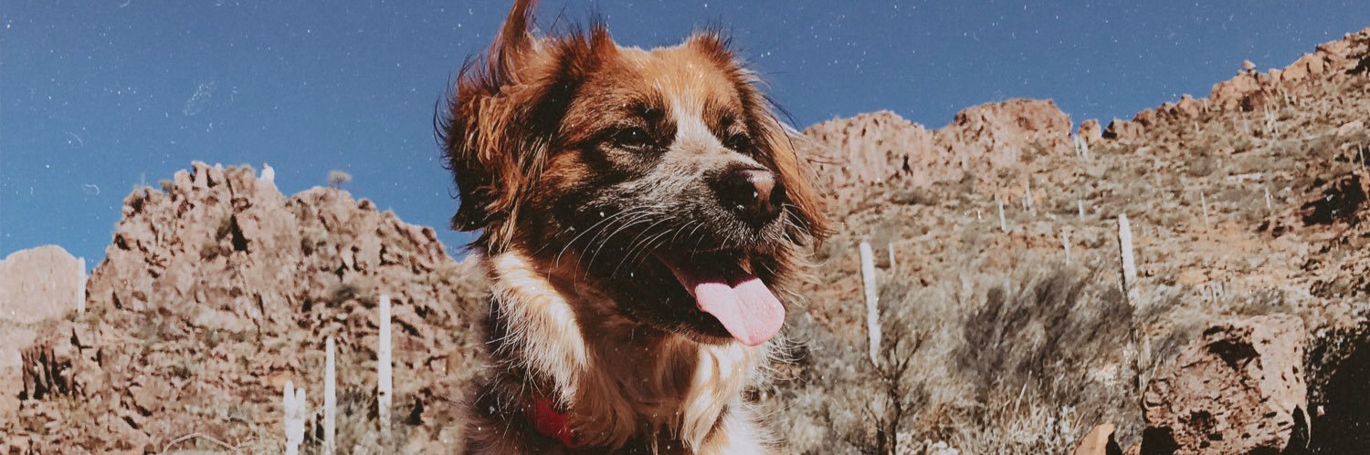 BrianRogersonJr's profile banner image
