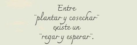 Helena Gómez @hego4805 banner