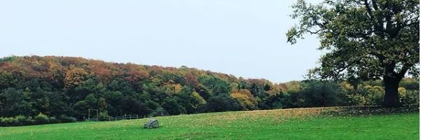 JessicaBull50's profile banner image