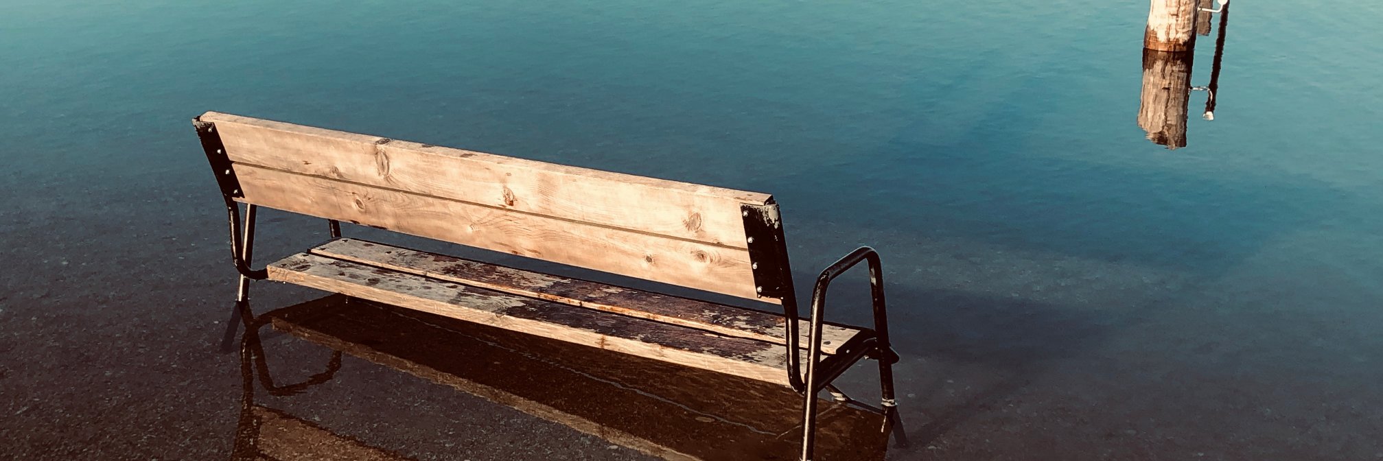 Hintenberger Gerhard banner