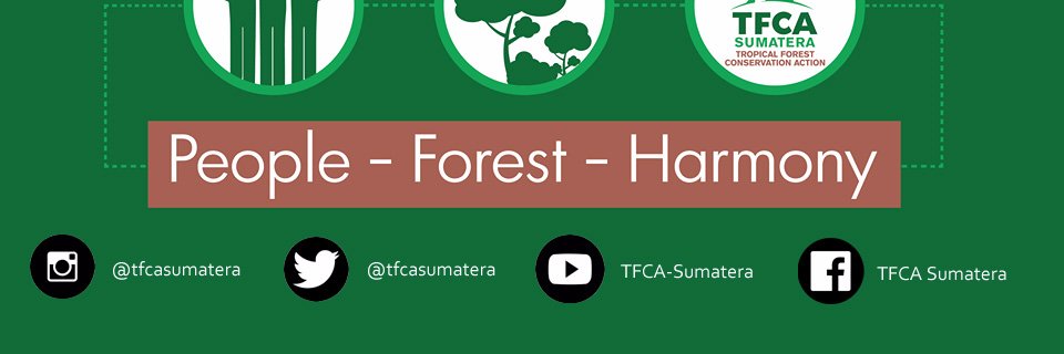 tfcasumatera's profile banner image