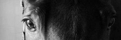 hfc_nov24's profile banner image