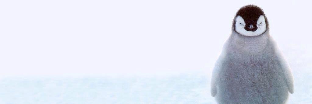 Maxivatu's profile banner image