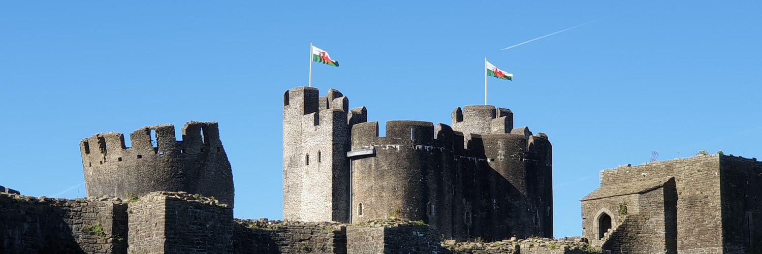 Plaid Caerphilly banner