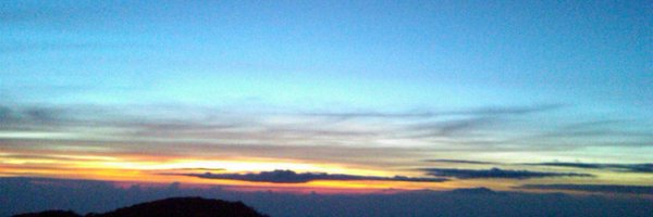 Ricocrt Profile Banner