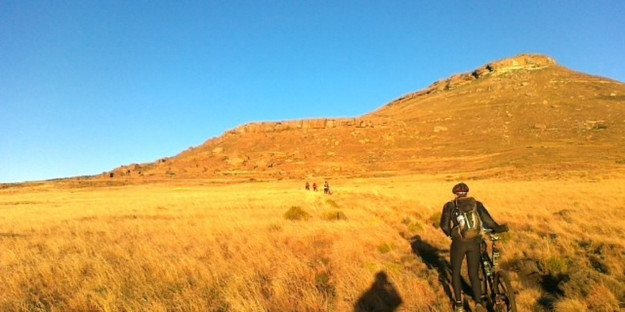 Casper Venter banner