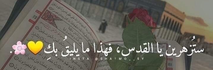 مُــوسـىٰ ‏Ⓜ️🔻 banner