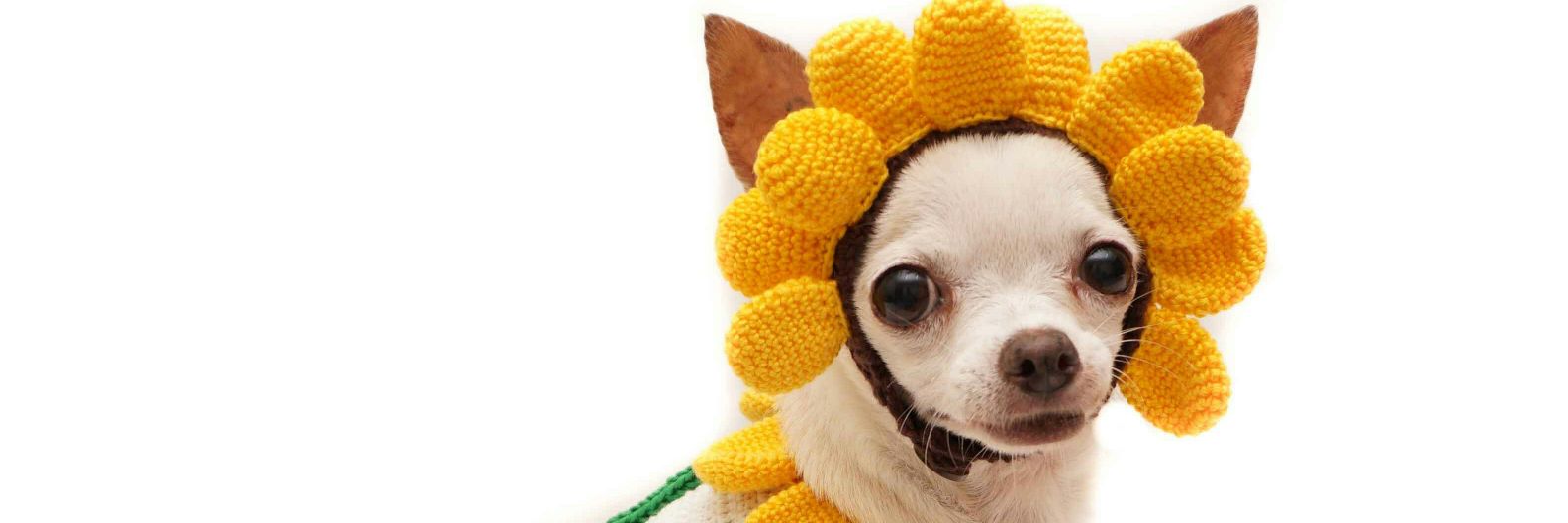myknitt's profile banner image