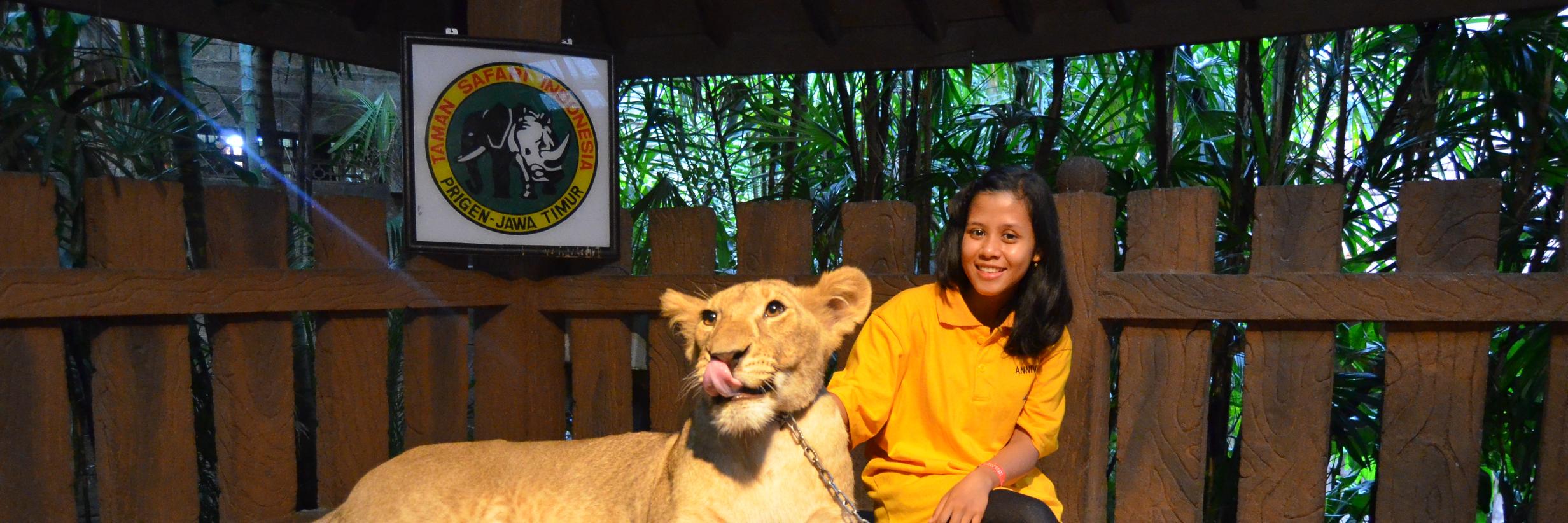 RichaDessy's profile banner image