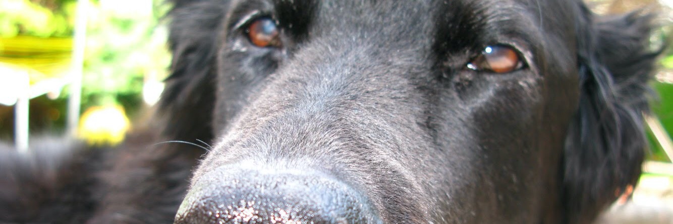 Graham Matters banner